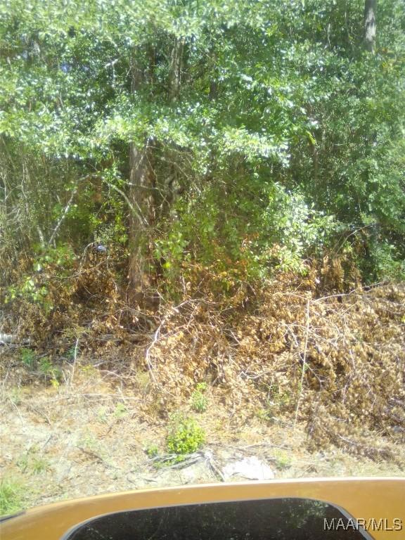 LOT17 Lakeshore Dr, Tuskegee, AL 36083 - photo 2