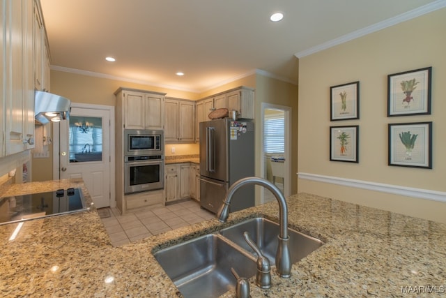 kitchen with exhaust hood, ornamental molding, appliances with stainless steel finishes, and sink