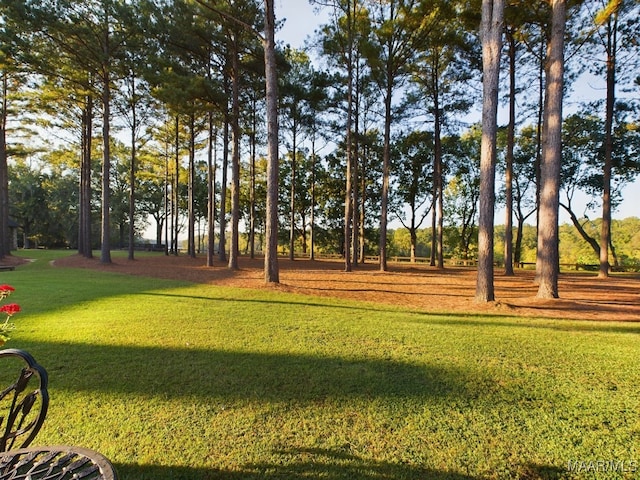 surrounding community featuring a lawn