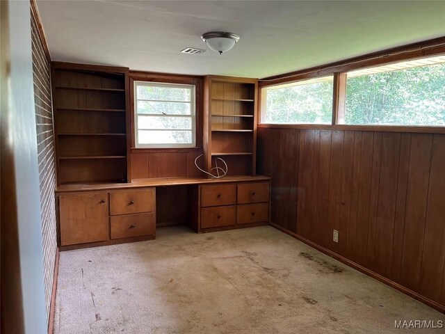 unfurnished office featuring wooden walls, light colored carpet, and a healthy amount of sunlight