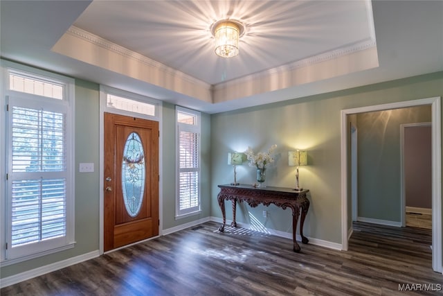 foyer entrance featuring plenty of natural light, a raised ceiling, and wood finished floors