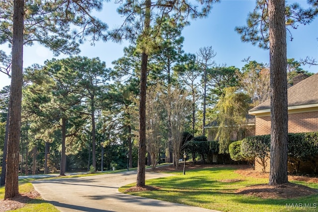 view of home's community featuring a yard