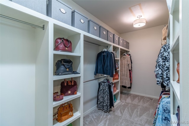 walk in closet featuring carpet