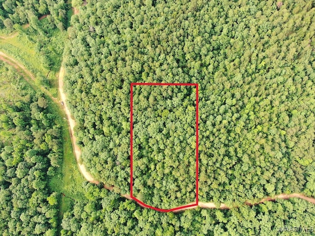 0 County Road 545, Verbena AL, 36091 land for sale