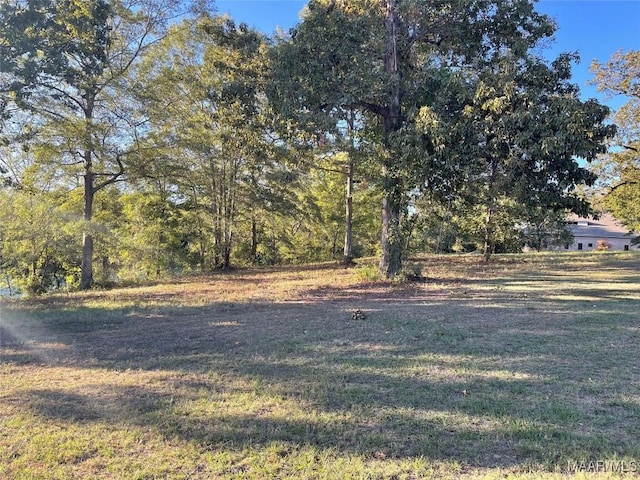 LOT30 Covered Bridge Pkwy, Prattville, AL 36066 - photo 1