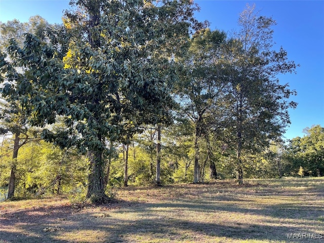 Listing photo 2 for LOT30 Covered Bridge Pkwy, Prattville AL 36066