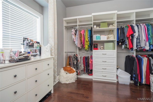 spacious closet with dark hardwood / wood-style floors