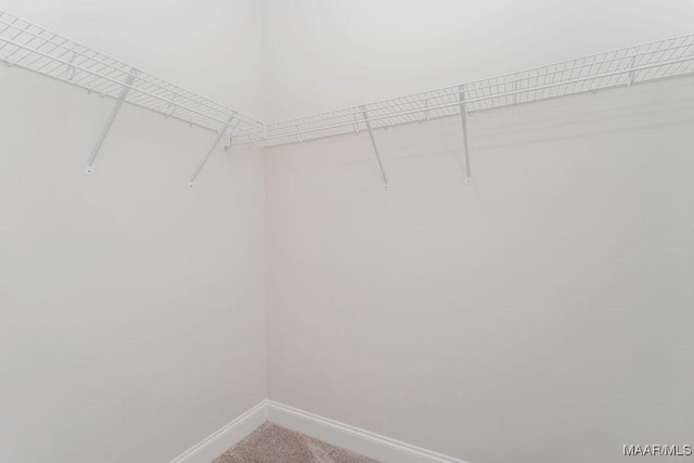78 Hillston Dr, Wetumpka, AL 36093 - spacious closet with carpet