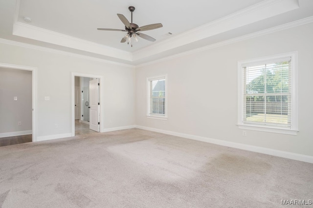 carpeted spare room featuring crown molding, a tray ceiling, and ceiling fan