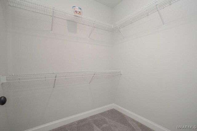 78 Hillston Dr, Wetumpka, AL 36093 - spacious closet featuring carpet floors