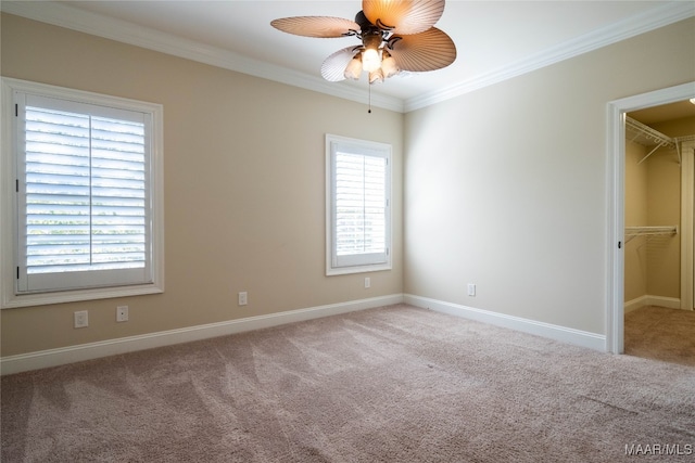 unfurnished bedroom with a walk in closet, a closet, light carpet, ceiling fan, and ornamental molding