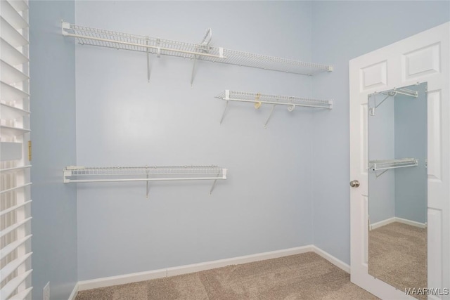 spacious closet with carpet floors