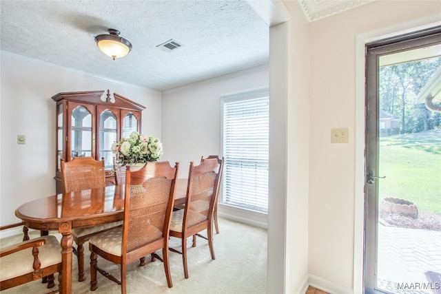 carpeted dining area featuring ornamental molding, a textured ceiling, and a healthy amount of sunlight