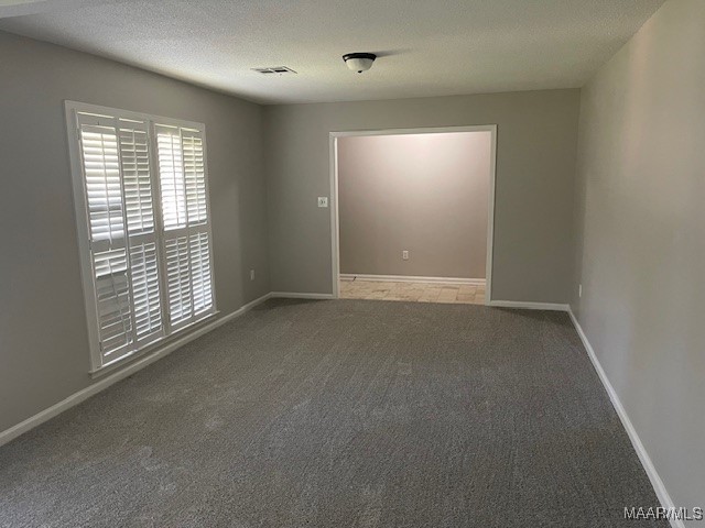 spare room with carpet flooring and a textured ceiling