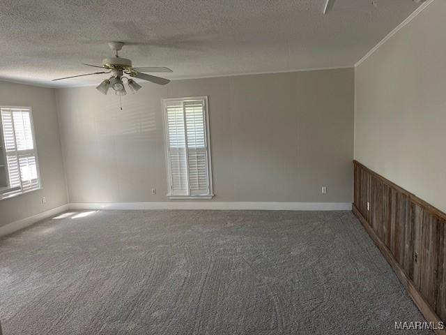 empty room with a ceiling fan, carpet flooring, a textured ceiling, and plenty of natural light