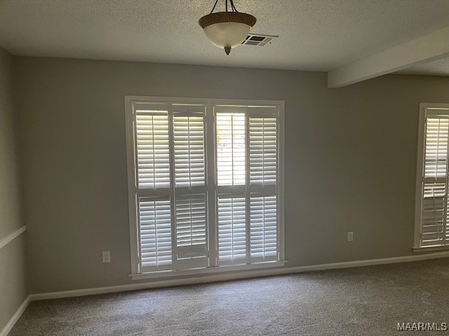 carpeted spare room featuring beam ceiling, a textured ceiling, and a healthy amount of sunlight