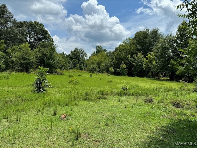 0 Washington St, Marion, AL 36756