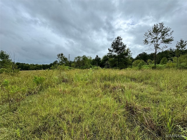 0 Jackson Rd, Newbern AL, 36765 land for sale