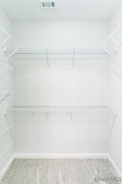 200 Mcrae Rd, Deatsville, AL 36022 - walk in closet featuring carpet flooring