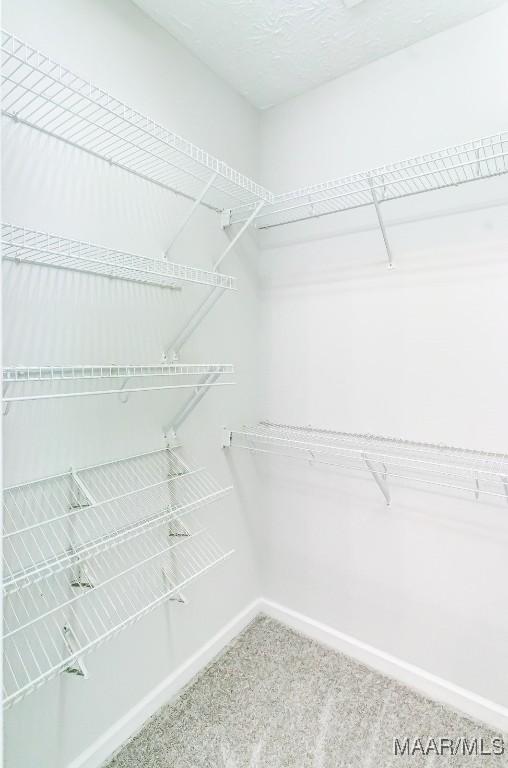 200 Mcrae Rd, Deatsville, AL 36022 - walk in closet with carpet flooring