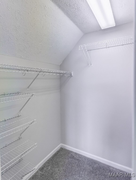 spacious closet featuring vaulted ceiling and carpet flooring