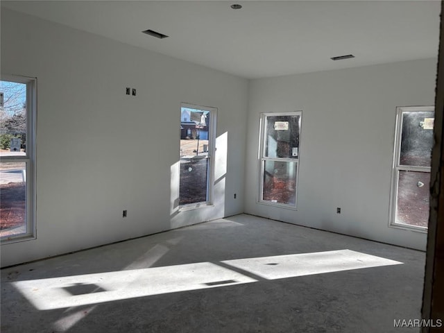 spare room with a wealth of natural light