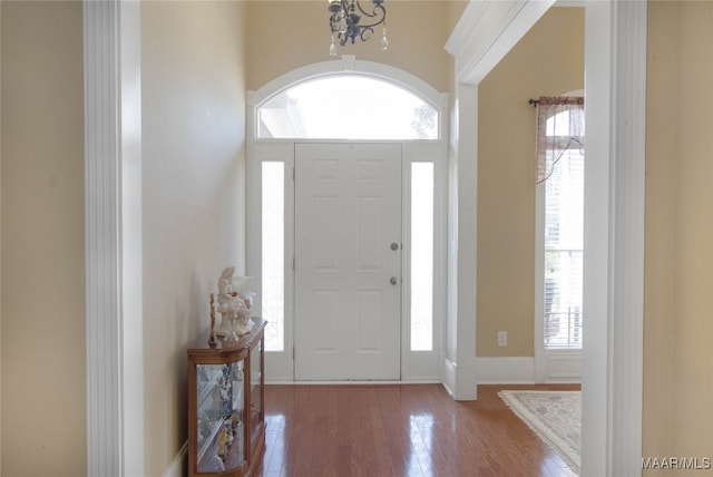 entryway with wood-type flooring and a wealth of natural light