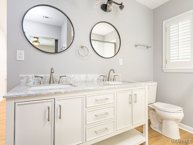 bathroom with vanity, toilet, and wood-type flooring