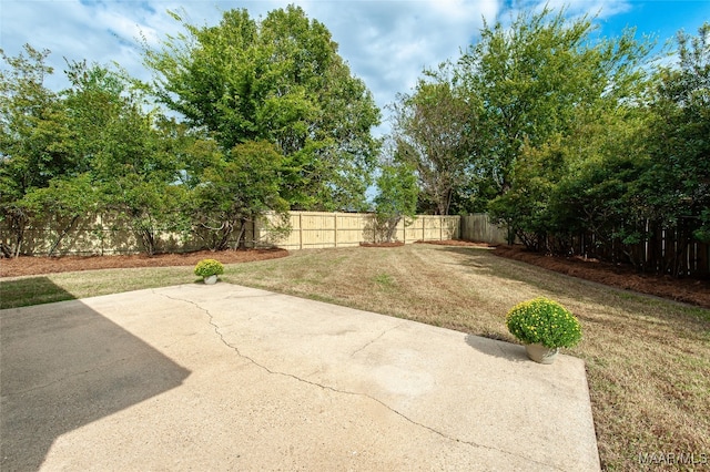 view of yard featuring a patio