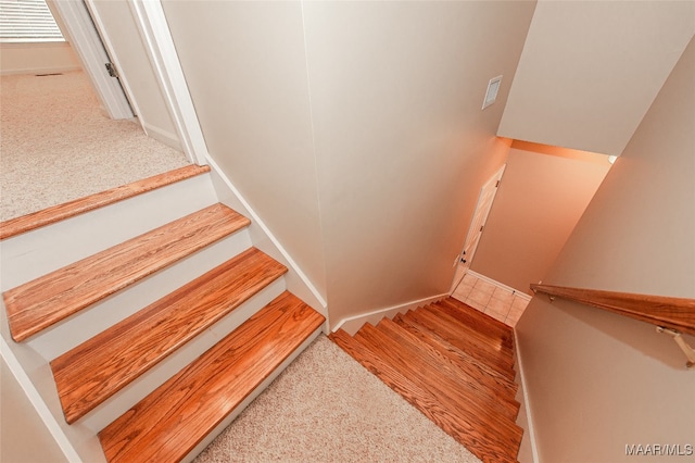 stairway with carpet flooring