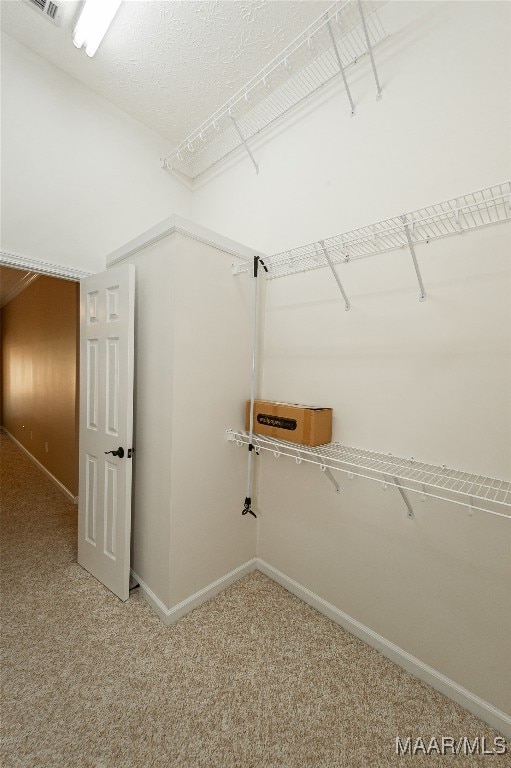 walk in closet with carpet floors