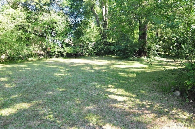 2215 Greenville St, Montgomery, AL 36107 - photo 10