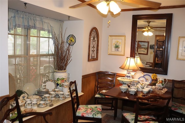 dining space featuring ceiling fan, wood walls, and crown molding