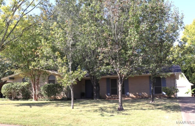 view of property hidden behind natural elements with a front lawn