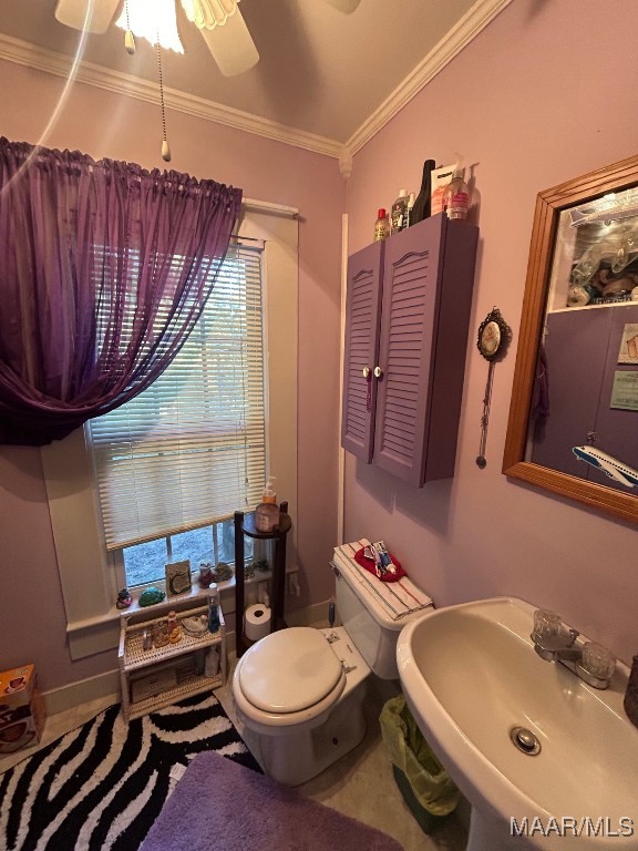 bathroom with ceiling fan, toilet, ornamental molding, and sink