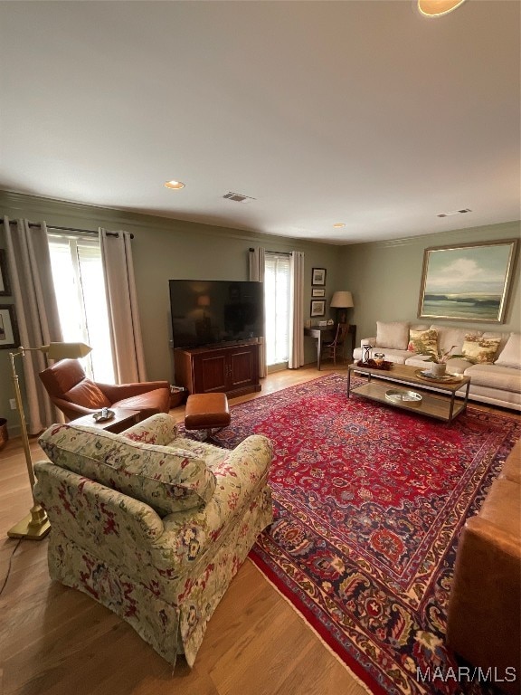 living room with hardwood / wood-style floors