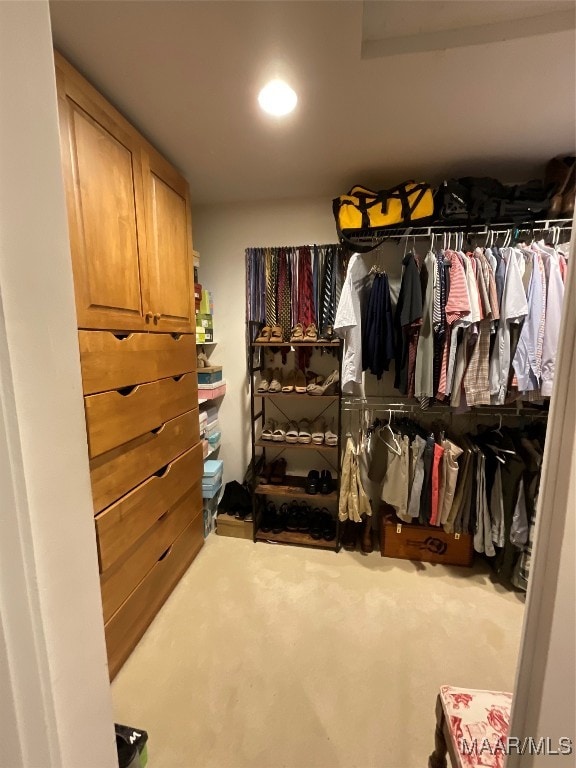 spacious closet featuring carpet floors