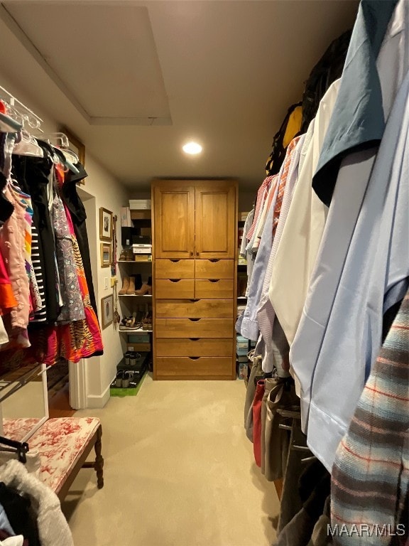 spacious closet featuring light colored carpet