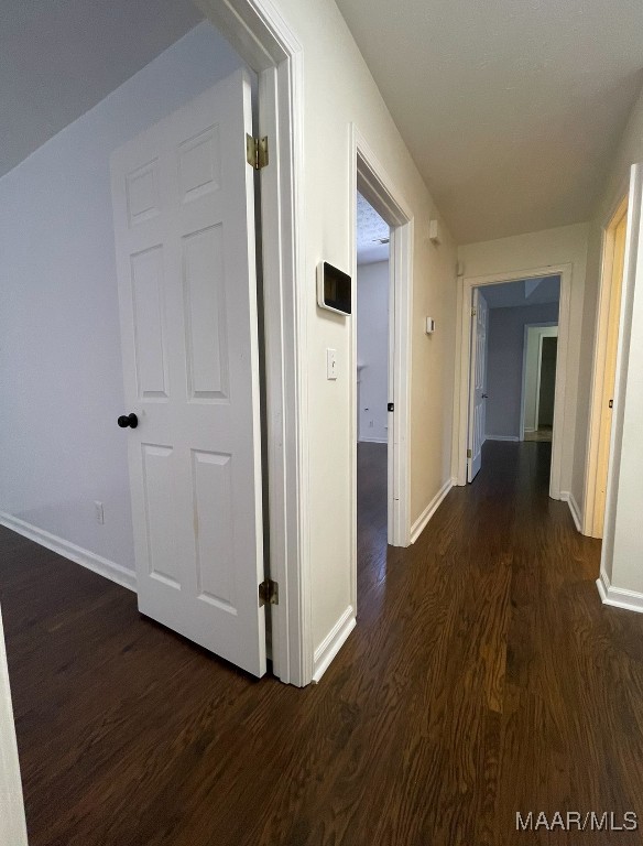 hallway featuring dark wood-type flooring