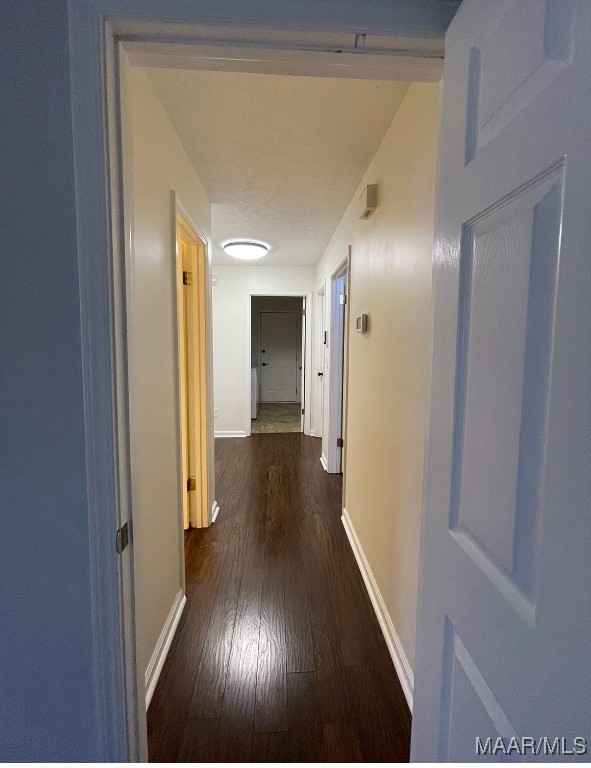 hallway featuring dark hardwood / wood-style floors