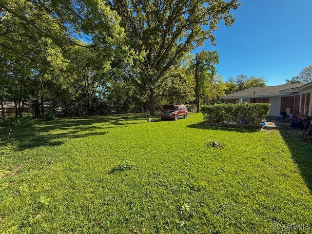 view of yard