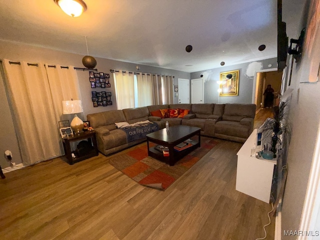 living room with hardwood / wood-style floors