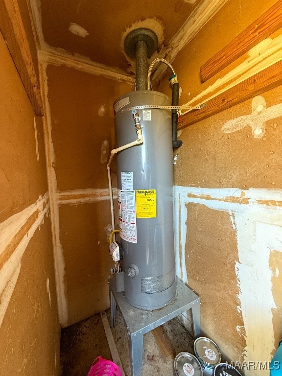 utility room with water heater