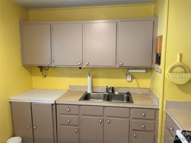 kitchen featuring gray cabinetry, crown molding, sink, and a textured ceiling