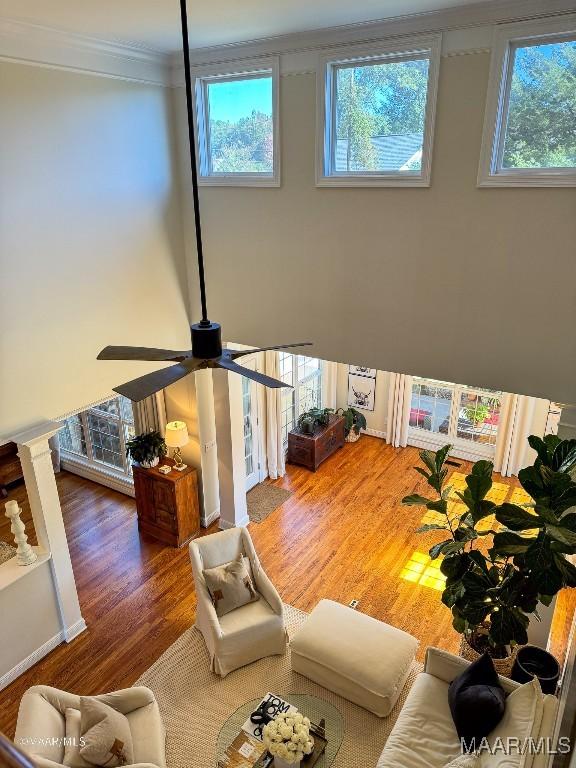 living room featuring ornamental molding, ceiling fan, wood finished floors, and plenty of natural light