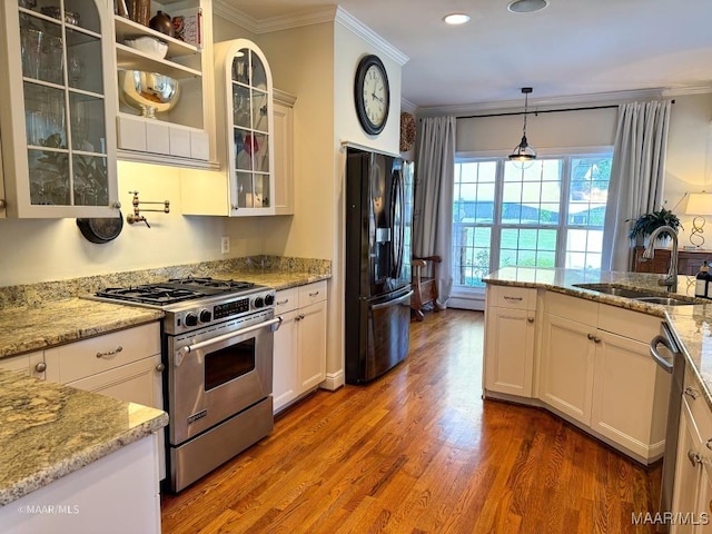 kitchen with crown molding, a sink, appliances with stainless steel finishes, and wood finished floors