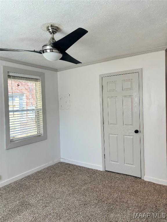 empty room featuring carpet flooring, ceiling fan, and a textured ceiling