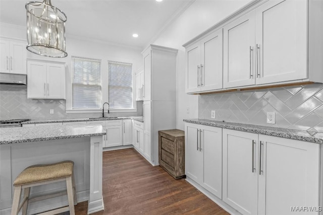 kitchen featuring under cabinet range hood, a sink, ornamental molding, and tasteful backsplash