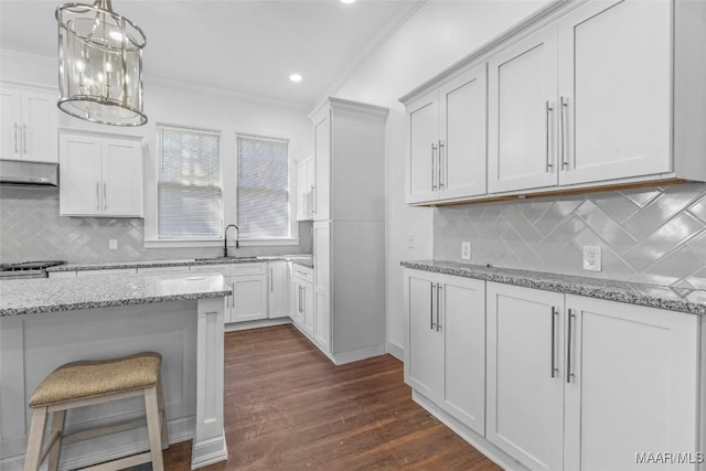 kitchen with decorative backsplash, crown molding, under cabinet range hood, and a sink