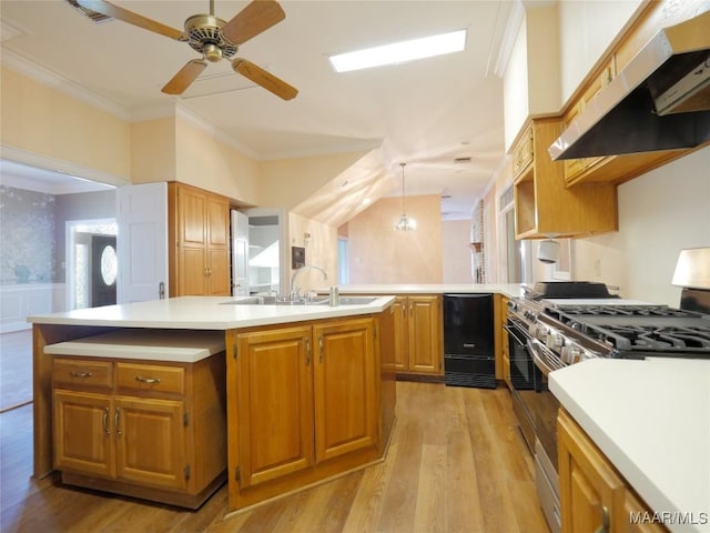 kitchen featuring a ceiling fan, a sink, stainless steel gas range oven, crown molding, and under cabinet range hood